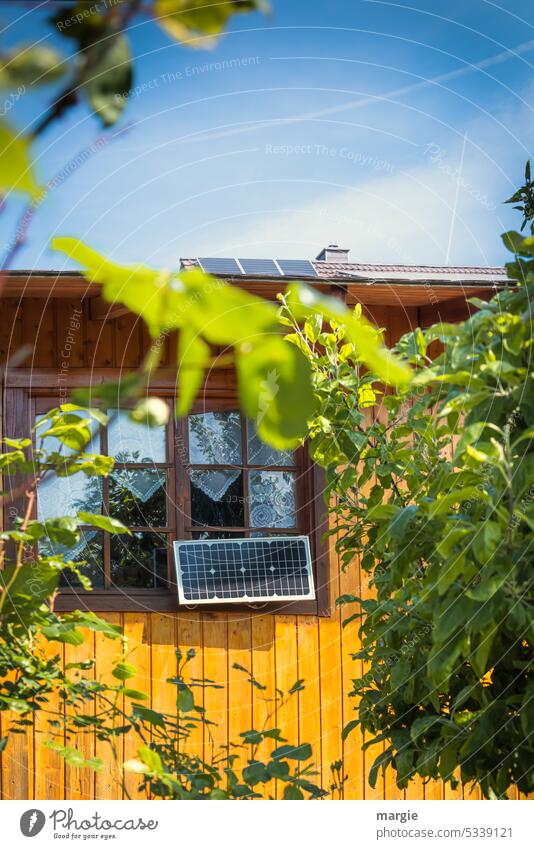 Solarmodul am Gartenhaus Sonnenlicht Photovoltaik solar Energie Sonnenenergie Erneuerbare Energie Büsche Fenster Fensterscheiben Gardinen nachhaltig Panels