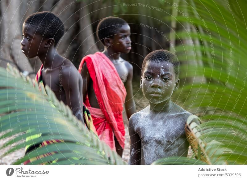 Positive Stammeskinder, die in der Nähe von riesigen Baumblättern stehen Kinder Junge Wald Blätter Glück Natur lokal Tradition Körperbemalung Afrikanisch