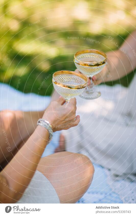 Crop-Frauen stoßen beim Picknick auf Gläser an Klirren Freund Natur Sommer jubelt Champagne Zuprosten Wiese Rasen trinken Gras Freundschaft Alkohol Decke feiern