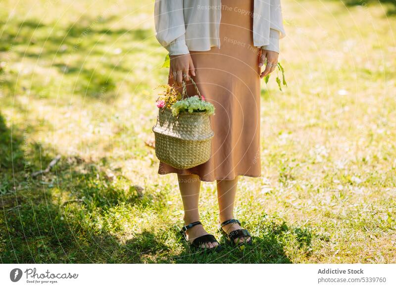 Frau mit Weidenkorb im Park stehend Blume Korb Natur Flora Blumenstrauß Sommer Landschaft frisch jung tagsüber Garten Windstille Stil Sonne Blüte Saison