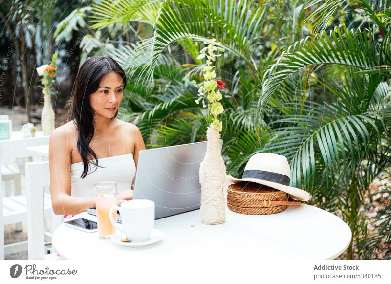 Konzentrierte Frau arbeitet am Laptop in einem Café im Freien freiberuflich tropisch Arbeit abgelegen Browsen Projekt Konzentration Sommer Apparatur Tulum