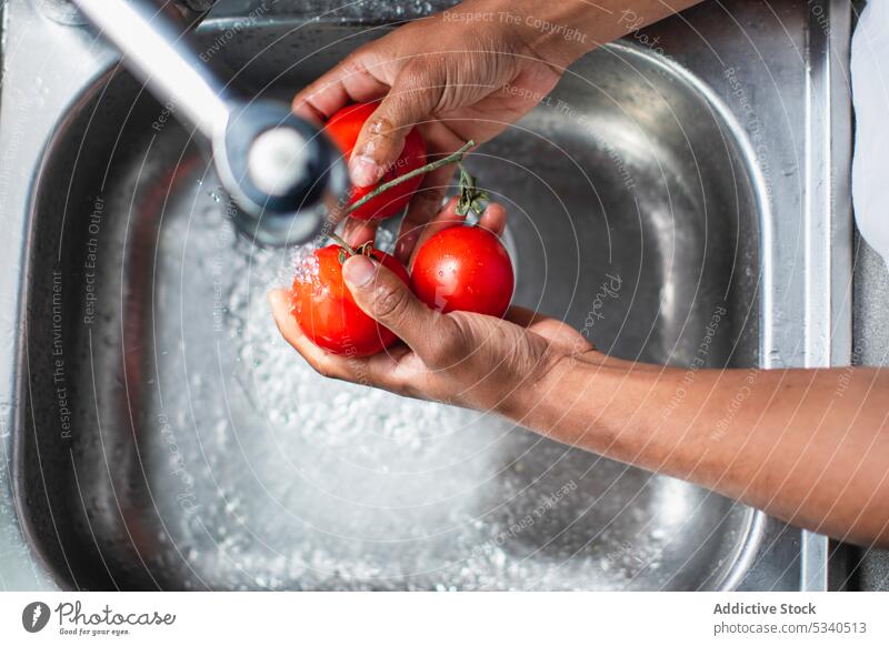 Erntehelfer wäscht reife Tomaten im Waschbecken Mann Waschen Koch Küchenchef vorbereiten Wasser Prozess Bestandteil Wasserhahn frisch Gemüse Sauberkeit