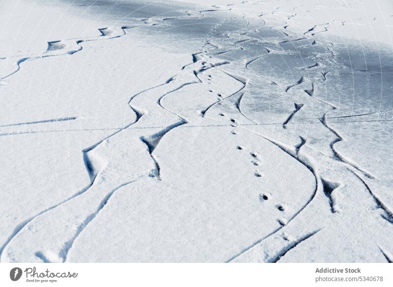 Menschliche Fußabdrücke auf schneebedecktem Eis menschlich Fußspur Schnee Winter Nachlauf fangen See anders Natur kalt weiß Saison Frost Spaziergang Schritt