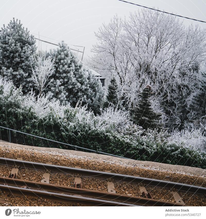 Eisenbahn im Winter dreckig vorbei verschneite schlammig nadelhaltig Wald wolkig Wetter Schnee Baum Frost kalt Holz Reim wachsend Reif gefroren Pflanze frieren