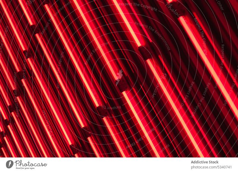 Wand mit Neonröhren neonfarbig Lampen Nachtleben rot Reihe Illumination Abend hell Dekor Design Licht elektrisch glühend Entertainment Club Party Vergnügen
