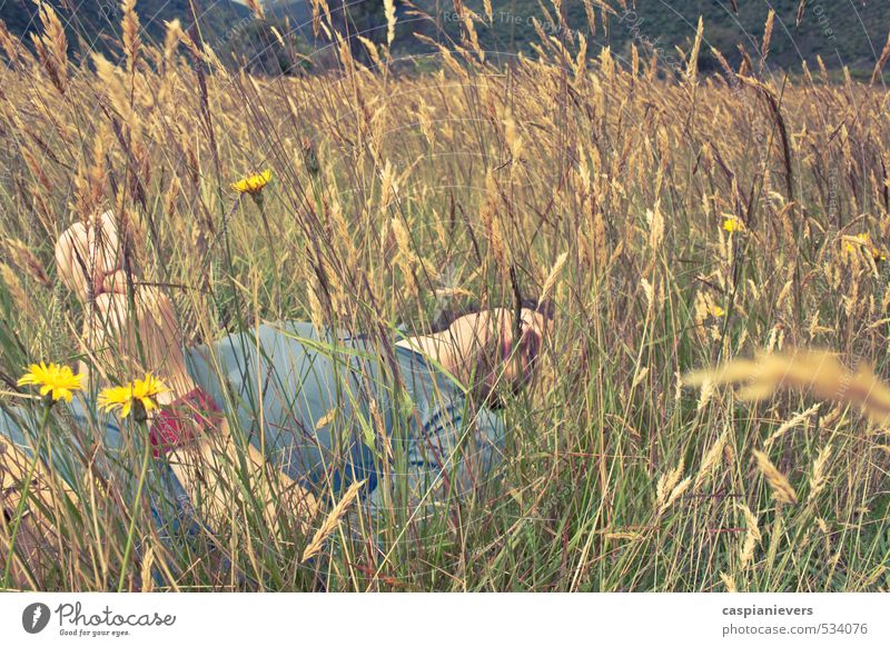 Ausruhen im langen Gras ruhig Freiheit Sommer Junger Mann Jugendliche Erwachsene 1 Mensch 18-30 Jahre Umwelt Natur Wiese blühende Weide schlafen aussruhen