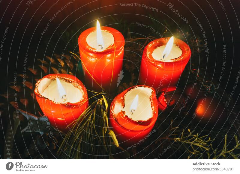 Brennende Kerzen in der Nähe von Nadelbaumzweigen Zweig Feiertag Dekoration & Verzierung Weihnachten Ast Winter hell heimwärts Zusammensetzung horizontal Design