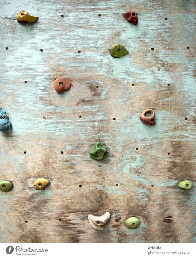 Kletterwand | bunte Griffe auf einer Holzplatte Klettergriffe Bouldern Klettern Sport Freizeit & Hobby Wand Nahaufnahme Bunt blau Spielplatz Kind Kinder