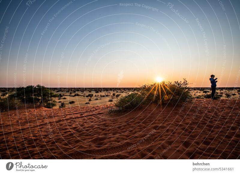 wenn der tag beginnt… Düne beeindruckend Sand Wärme Kindheit Sohn träumen Morgendämmerung Sonnenaufgang Kalahari Namibia Ferne Afrika Fernweh reisen Farbfoto
