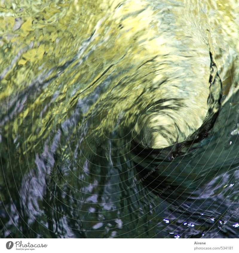 gerührt - nicht geschüttelt Wirbel Strudel Wasser Wellen Urelemente Bach Fluss See Verwirbelung Wasserwirbel Spirale drehen bedrohlich natürlich wild gold grün