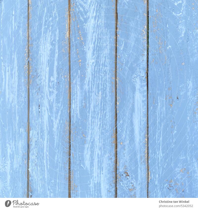 Ein schöner hellblauer rustikaler Holzhintergrund Farbe Hintergrund einzigartig Muster authentisch Hintergrundbild Strukturen & Formen Holzbretter Holztextur