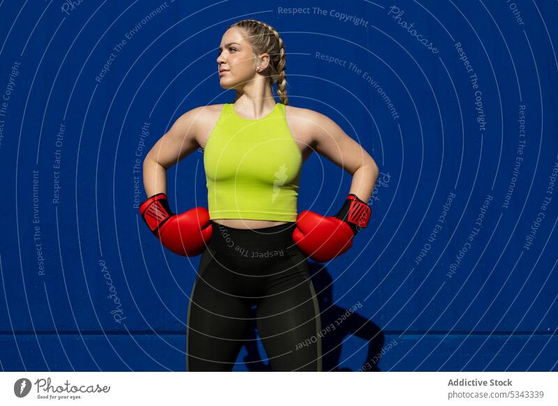 Starke Sportlerin in Boxhandschuhen vor blauer Wand stehend Frau Boxer Training Handschuh üben selbstbewusst stark Übung muskulös Gesundheit Hand auf der Taille
