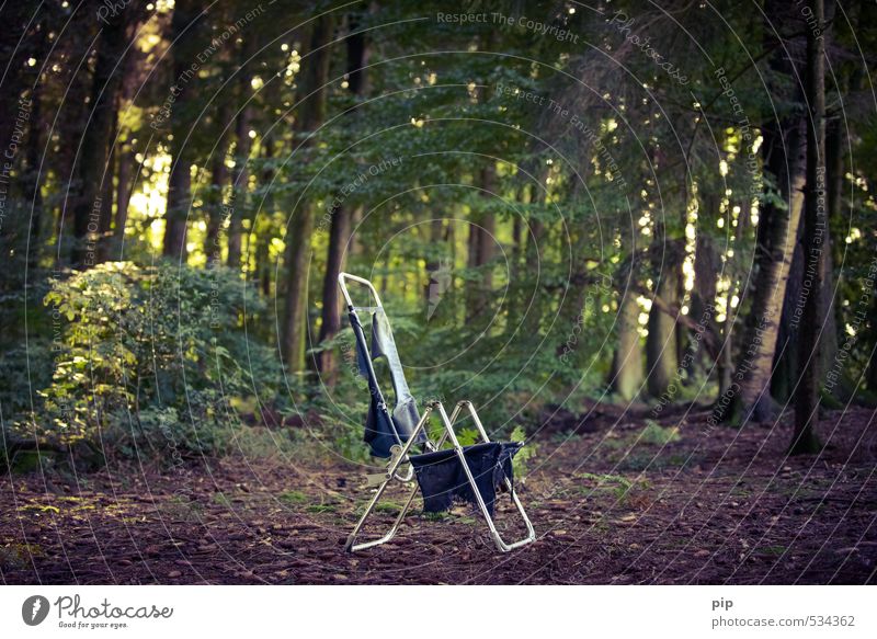 waldesruhe Camping Stuhl Liegestuhl Campingstuhl Klappstuhl Umwelt Natur Pflanze Sommer Schönes Wetter Baum Sträucher Wald Metall ruhig Erholung Verfall