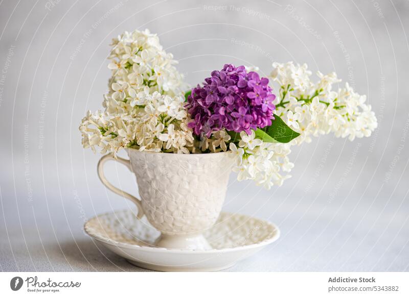 Vorderansicht eines Blumenstraußes aus Fliederblüten in einer Keramiktasse Aroma aromatisch Blütezeit binden farbenfroh Tasse Garten Geschenk Innenbereich