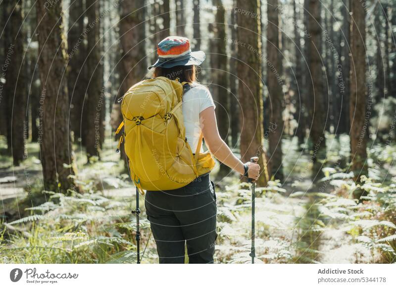 Unbekannte Frau geht mit Stöcken im Wald spazieren Wanderer Trekking Wanderung Ausflug Weg Spaziergang Natur Mast Wälder Spanien Teneriffa Rucksack erkunden