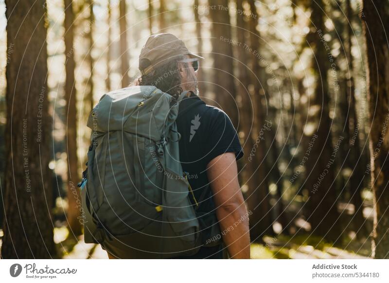 Unbekannter Mann geht im Wald Spaziergang Reisender Natur Wälder Wanderer Trekking Wanderung Rasen Baum Ausflug Rucksack erkunden Teneriffa Spanien reisen