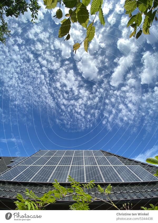 Photovoltaik auf einem Hausdach, leicht bewölkter blauer Himmel und grüne Blätter Erneuerbare Energie Energiewirtschaft Umweltschutz Energiegewinnung innovativ