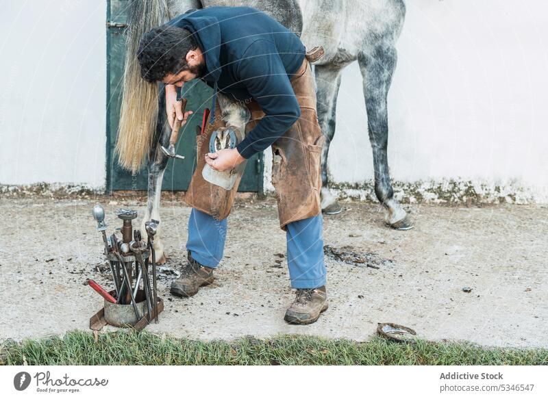 Hufschmied befestigt Hufeisen am Huf eines Pferdes Mann nageln Pferdestall Zange Arbeit Hof männlich anstrengen Grunge chaps Ranch Werkzeug Wehen Säugetier