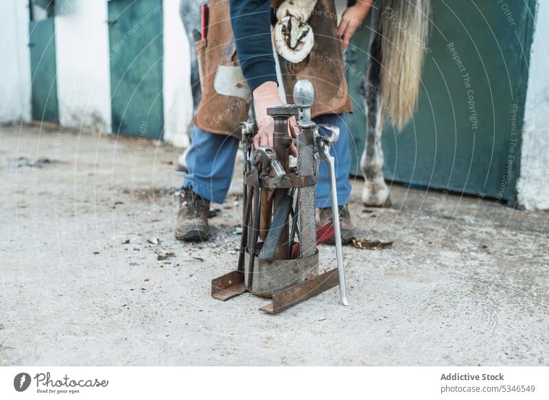 Unbekannter Hufschmied trimmt Pferdehuf raspeln Pferdestall entgittern Tier Gerät Instrument pferdeähnlich Werkzeug Mann Pflege Säugetier Uniform professionell