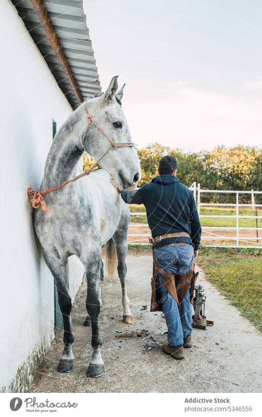 Anonymer Hufschmied streichelt Pferd nach dem Beschlagen Mann Kraulen Ranch Scheune Spaziergang Arbeit Werkzeug führen männlich berühren grau gebunden Wand
