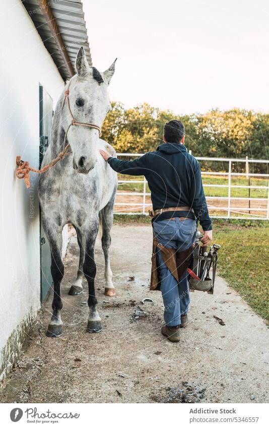 Anonymer Hufschmied streichelt Pferd nach dem Beschlagen Mann Kraulen Ranch Scheune Spaziergang Arbeit Werkzeug führen männlich berühren grau gebunden Wand