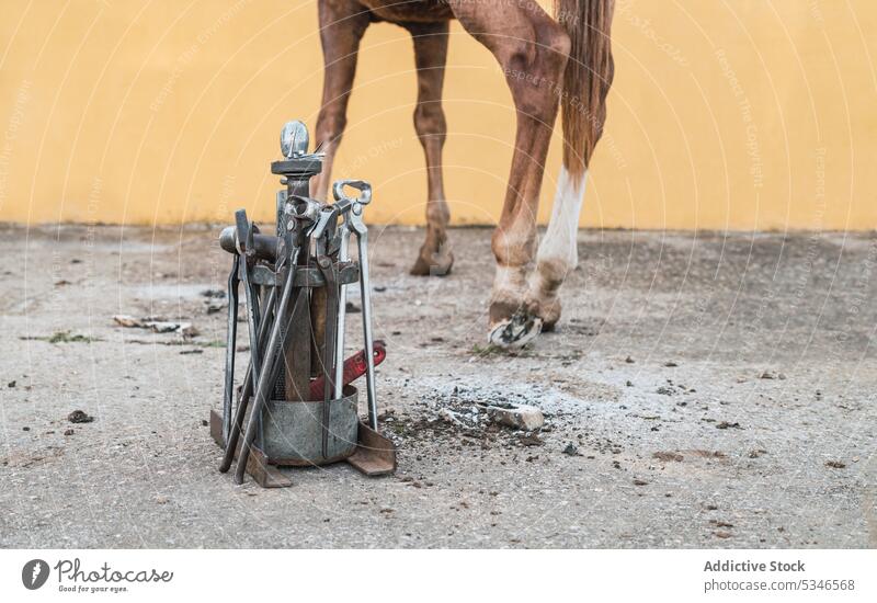 Ausrüstung für die Reparatur von Hufeisen auf dem Lande Pferd Werkzeug Gerät Pferdestall Scheune Vorrat pferdeähnlich Tier Instrument Landschaft züchten Metall