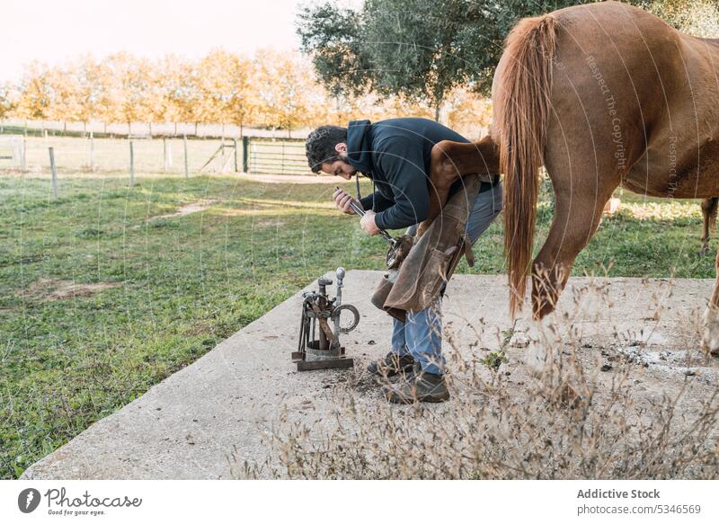 Hufschmied beschlägt Pferd außerhalb des Stalls Mann Hufeisen Pferdestall Ranch braun befestigen Arbeit nageln männlich Hammer aufschlagen Schuh Säugetier Tier