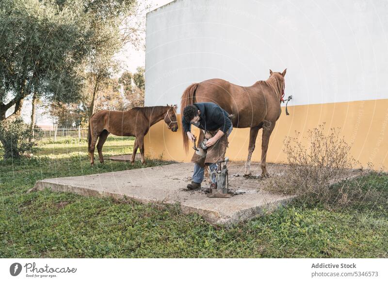 Hufschmied beschlägt Pferd außerhalb des Stalls Mann Hufeisen Pferdestall Ranch braun befestigen Arbeit nageln männlich Hammer aufschlagen Schuh Säugetier Tier