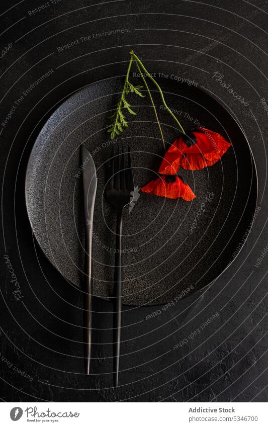 Leuchtend schwarzer Teller mit roten Mohnblumen oben drauf schön Beton Besteck dunkel Abendessen Gabel Messer Essen Fasten Flora geblümt Blume Lebensmittel