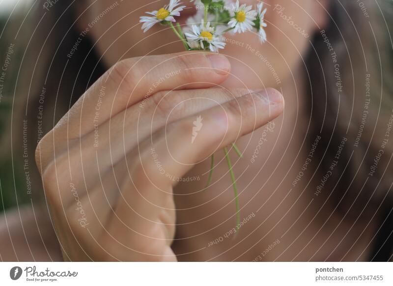 eine frau hält einen kleinen kleinen strauß gänseblümchen mit ihrer hand vors gesicht blumenstrauß finger Frühling Pflanze Blüte halten riechen freude