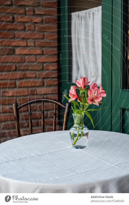 Tisch mit weißem Tischtuch tiflis Architektur Café Schnitzereien Großstadt Stadtansicht Dekor Detailaufnahme Tür Stadtzentrum Außenseite Fassade Blume Georgien