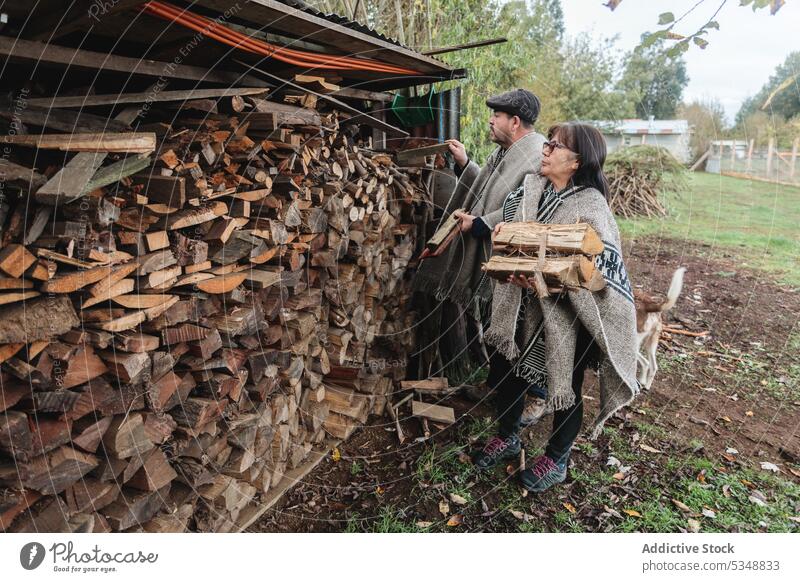 Ruhiges älteres Paar wählt Holzscheite im Dorf aus Landschaft Totholz Zusammensein ländlich Hund Natur Partnerschaft Konzentration mapuche temuco Chile