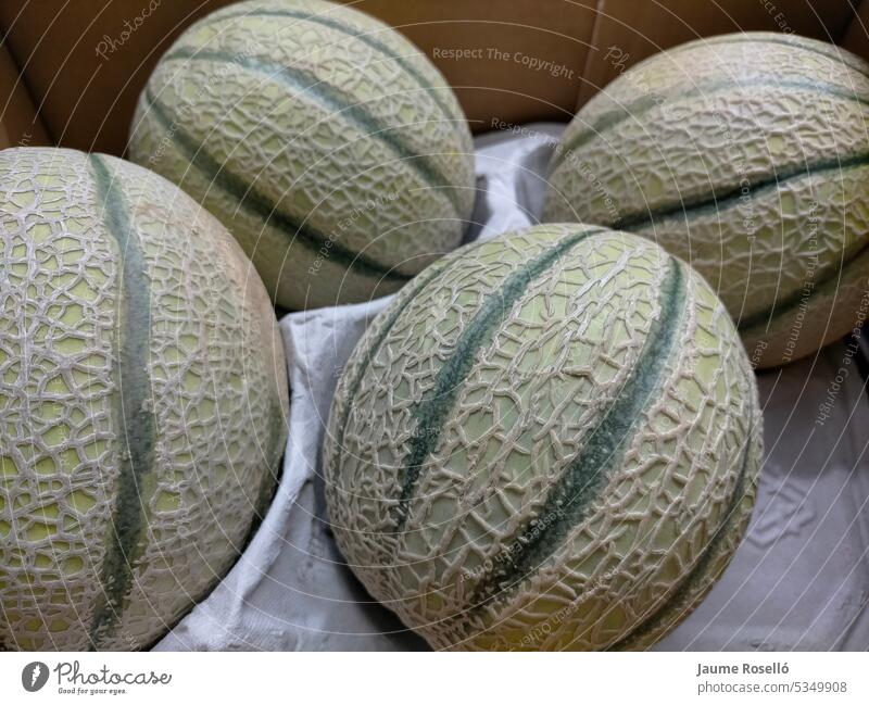 vier Cantaloupe-Melonen in Nahaufnahme in ihrer Transportkiste toskanisch gelb Gelblich flippig Kapstachelbeere Kapstachelbeeren Kantalupe roh ungekocht