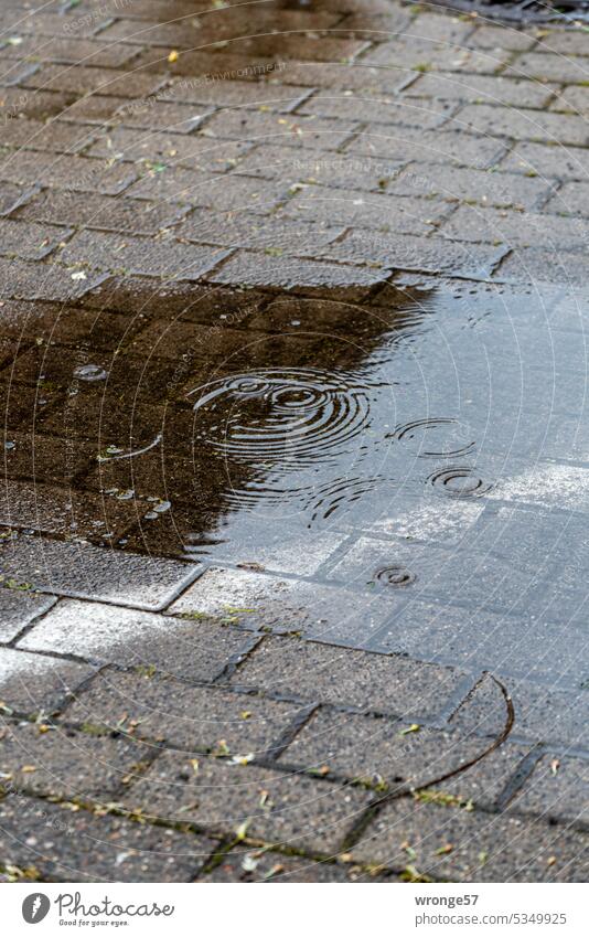 Endlich Regen Regenpfütze Regentropfen Dürre Trockenheit Straßenpflaster Pfütze Pfützenbild nass Wasser Wetter Regenwetter Außenaufnahme Menschenleer Farbfoto