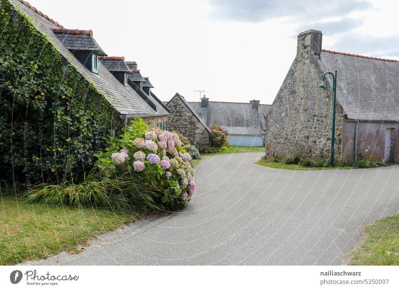 Ferien in Frankreich Kersiguénou Dorf Straße Straßenbelag Häuser Garten Cottage Tourismus reisen Urlaub leer ruhig hortensien Hortensienblüte Rasen steinhaus