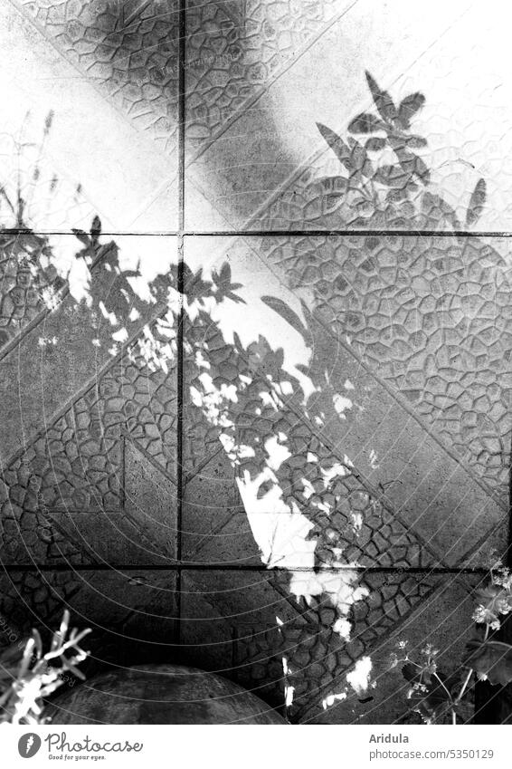 Pflanzenschatten auf Terrassenboden s/w Schatten Blumen Boden Fliesen u. Kacheln Licht Sonne Garten Bodenbelag Stein Muster Strukturen & Formen grau