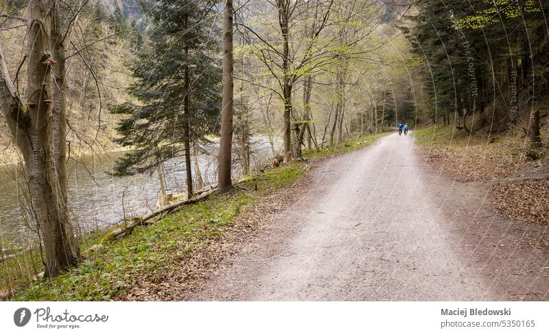 Ein Weg am Fluss Dunajec im Pieniny-Gebirge, Polen. Berge malerisch Reise reisen Pieninen Landschaft Baum Natur Wald Pieniner Gebirge Wasser Park Schlucht Hügel