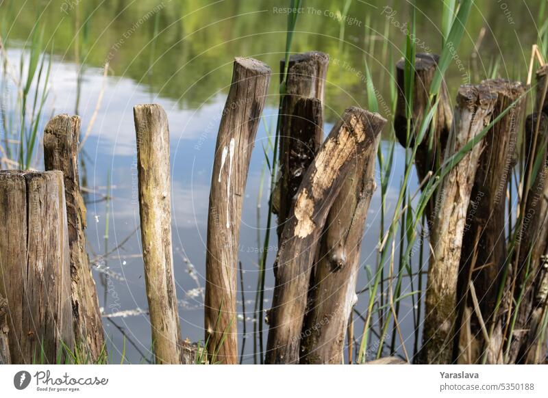Foto von einem seltenen Zaun am See Natur Holz Ruhe Betrachtungen ruhig keine Menschen schön Landschaft Wasser Baum Ansicht malerisch grün Himmel Wald
