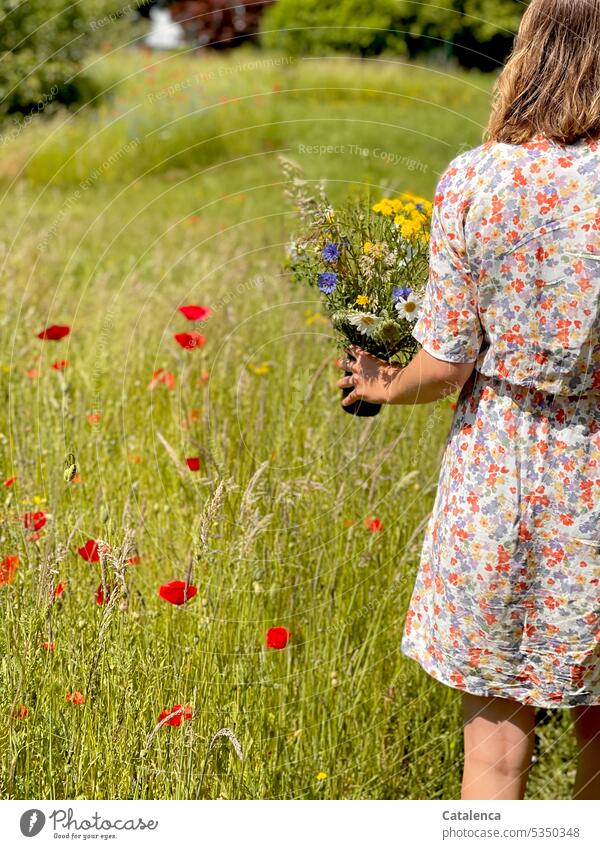 Frau im geblümtem Kleid und Blumenstrauß in der Hand geht am Mohn vorbei duften Natur Flora Pflanze blühen Blüte Garten Gras Wiese Tag Tageslicht verblühen