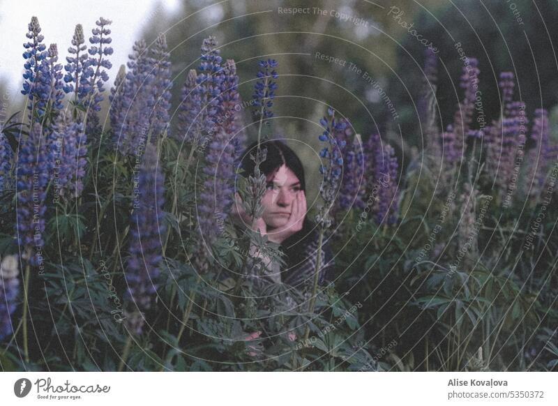 auf einem Feld an Lupinen II Selbstporträts Porträt Gesicht Wiese Natur Frau Blick Junge Frau ernst
