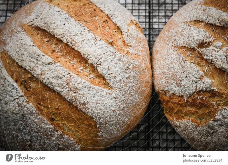 Zwei frisch gebackene Brote gebackenes Brot selbstgemacht selbstgebackenes Brot hausgemachtes Brot gesundes Brot frisch gebackenes Brot heilsam Gesundheit