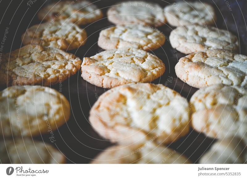 Selbstgebackene Kekse auf einem Tablett Cookies Biskuit leckere Kekse geschmackvoll golden selbstgemacht selbst gebacken gebastelt Koch