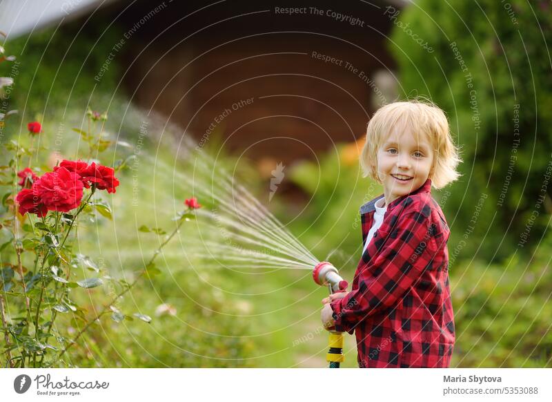 Lustige kleine Junge Bewässerung Pflanzen und spielen mit Gartenschlauch mit Sprinkler in sonnigen Hinterhof. Vorschüler Kind mit Spaß mit Spray von Wasser. Sommer im Freien Aktivität für Kinder.