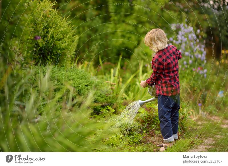 Vorschüler Junge gießt Pflanzen im Garten im Sommer sonnigen Tag. Mami kleine Helferin. Sommer im Freien Aktivität und Arbeit für Kinder während der Ferien. Glückliche Kindheit.