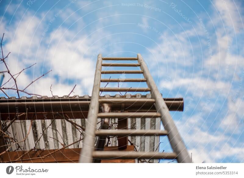 Leere Holzleiter - blauer Himmel. Leiter alte Leiter Vintage Stil blauer himmel wolken Wolken aufsteigen Karriere aufwärts Außenaufnahme Menschenleer hoch