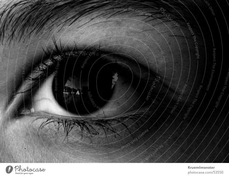 black eye Pupille Wimpern schwarz Augenbraue geheimnisvoll Schwarzweißfoto Aussicht Blick