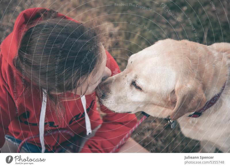 Junges Mädchen mit Labradorhund Hund Mädchen und Hund rotes Sweatshirt junges Mädchen gelbes Labor gelber Labrador alter Hund Mädchen und Hund im Feld