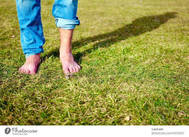 Barfuß im Gras Füße Fuß Wiese grün Jeans Jeanshose hochgekrempelt Beine Schatten barfuß barfuß laufen Barfüßigkeit Sommer Zehen Sommergefühl Freiheit Erholung
