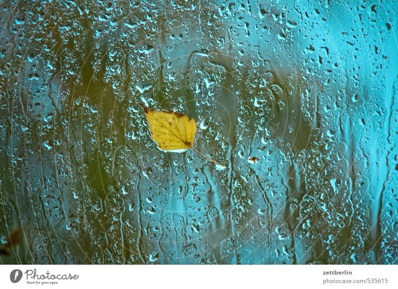 Gewinnspiel Umwelt Natur Herbst Klima Klimawandel schlechtes Wetter Regen Blatt Stadt Fenster Verkehr Straßenverkehr dunkel kalt blau gelb Trauer Sehnsucht