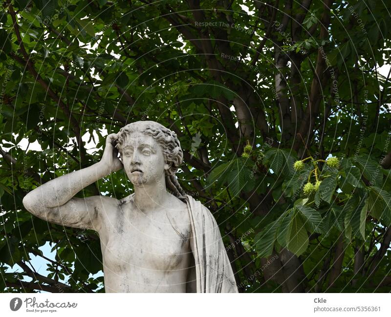 traurige weibliche Figur unter Kastanienbaum Statue Frau Trauer Verzweiflung Missmut Nachdenklichkeit nackt Bildhauerei Plastik Kunstwerk Baum Antike Mythos